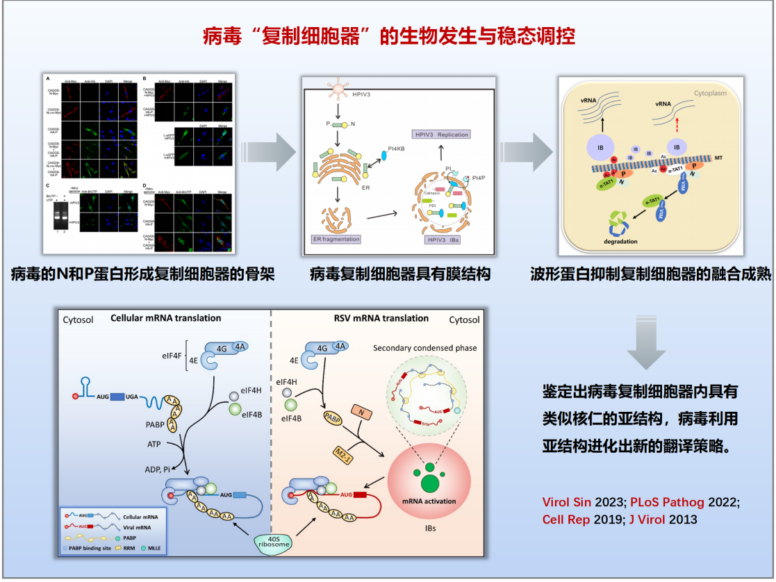 陈明周教授团队科技进展2023-12-12-6666_01(3)