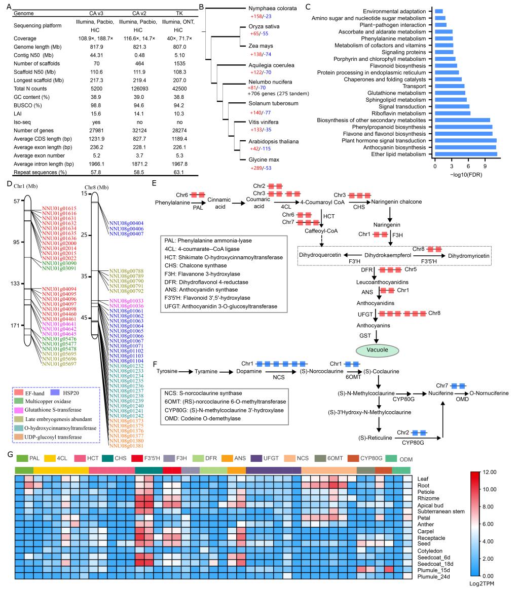 figure1-20221212